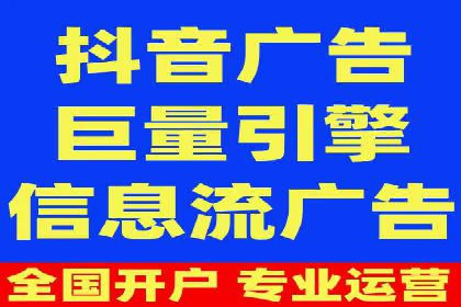 竞价排名案例：跨平台推广效果分析