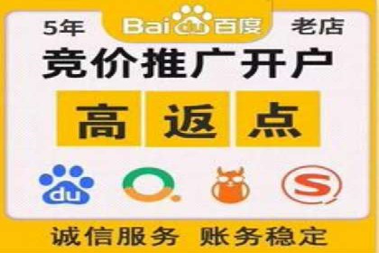成功SEM托管案例解析
